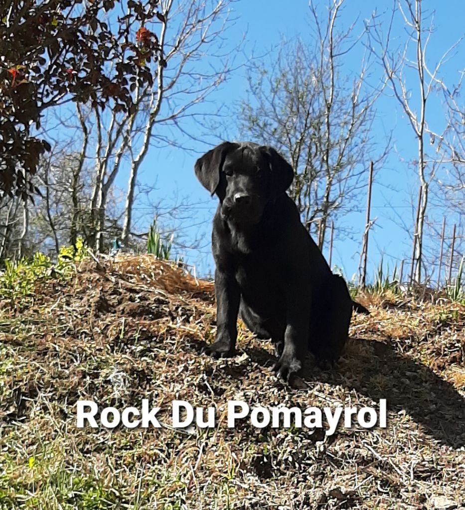 Rock Du Pomayrol