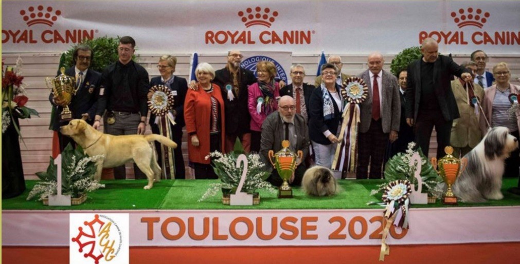 Ox pomayrol de Labrapassion