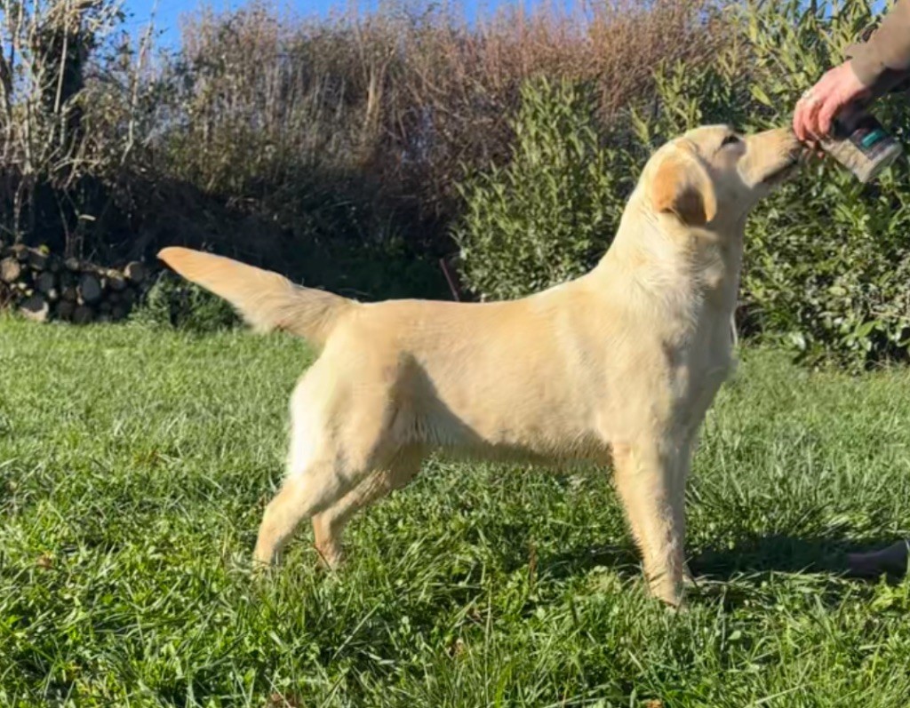 Alaska by rheal Du Pomayrol